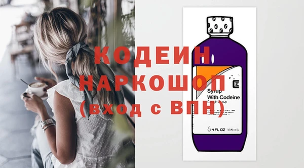 мдпв Бородино