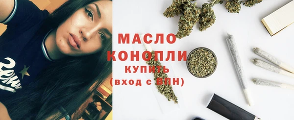 мдпв Бородино