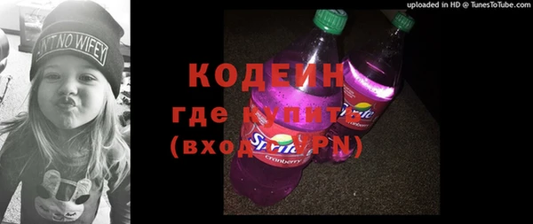 мдпв Бородино