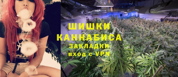 spice Бугульма