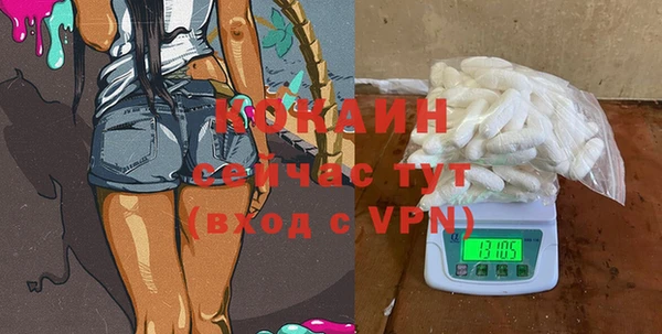 мдпв Бородино