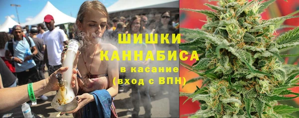 мдпв Бородино