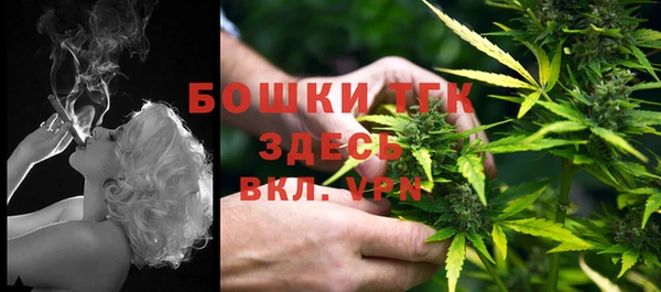 мдпв Бородино