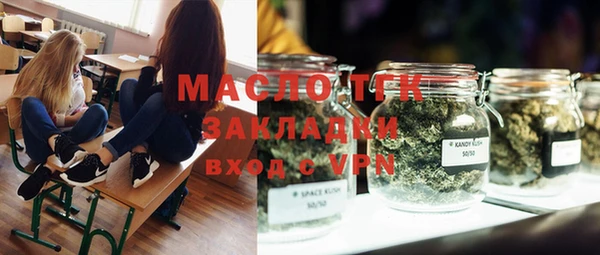мдпв Бородино