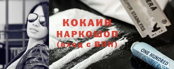 крисы Сясьстрой